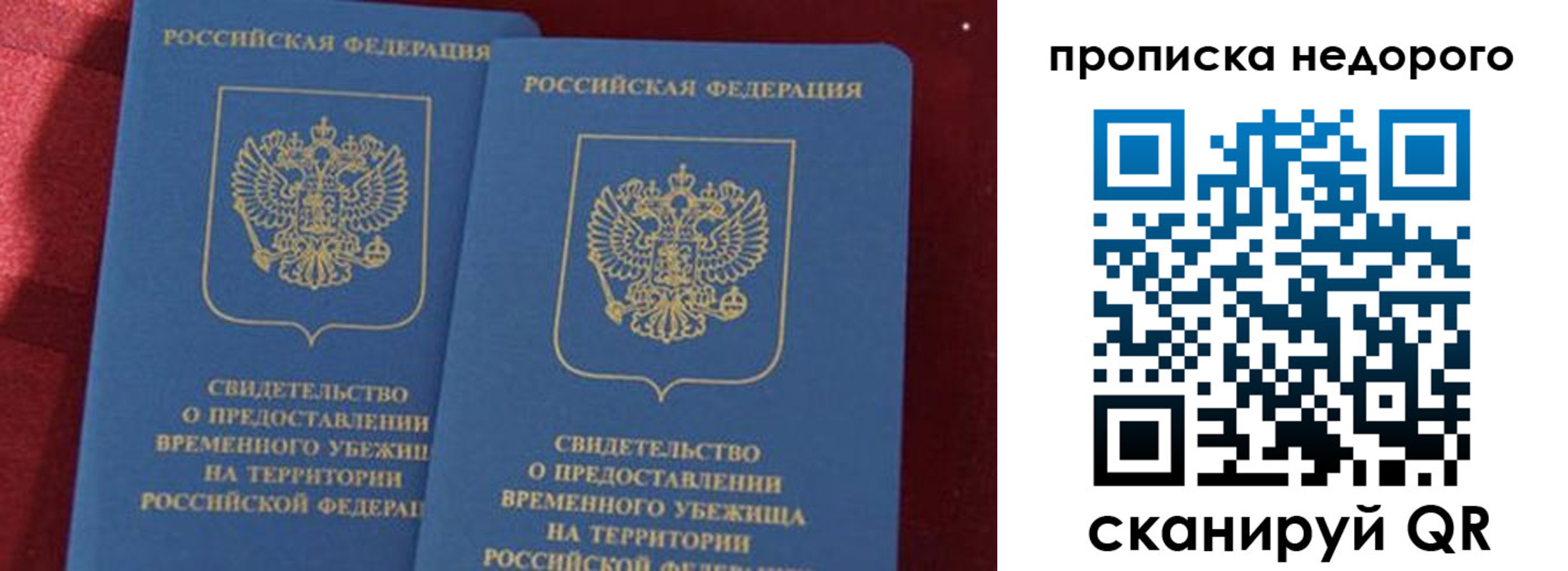прописка гарантия в Заинске